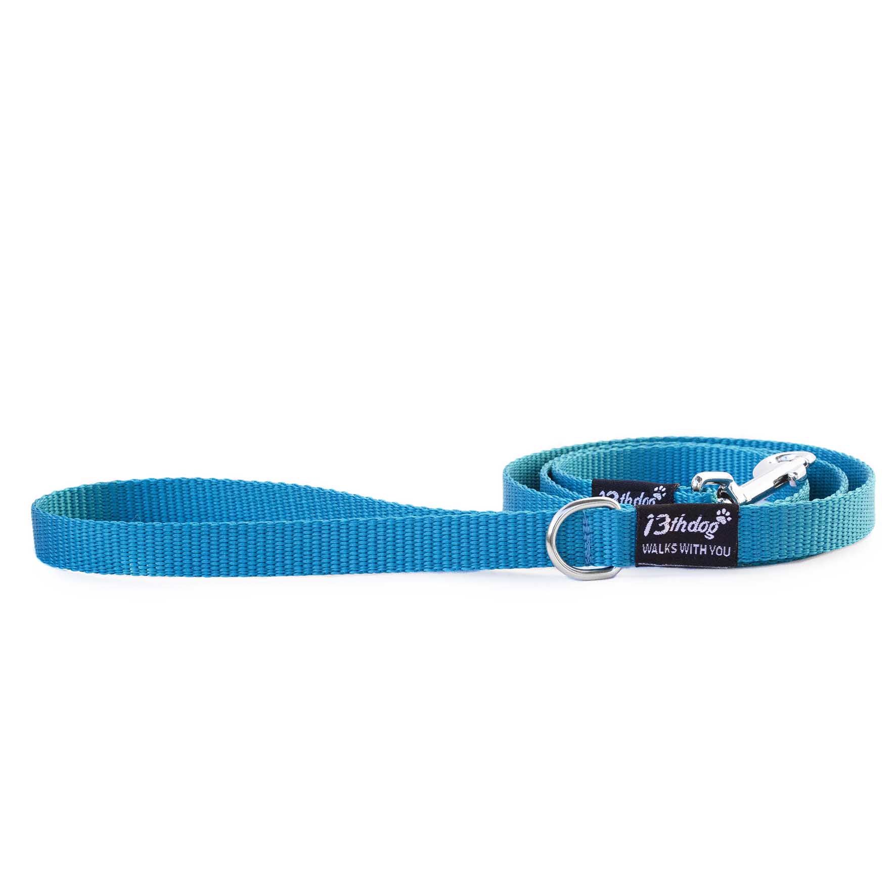 Summer blue leash