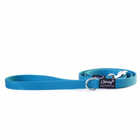 Summer blue leash